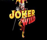 Joker Wild Казино Игра на гривны 🏆 1win Украина