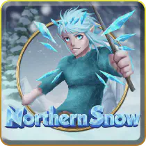 NorthernSnow Казино Игра на гривны 🏆 1win Украина