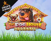 The Dog House Megaways Казино Игра на гривны 🏆 1win Украина