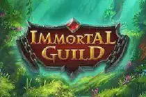 Immortal Guild Казино Игра на гривны 🏆 1win Украина