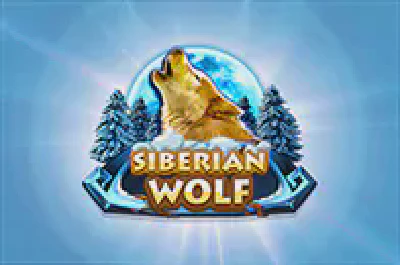 Siberian Wolf