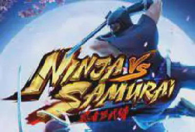 Ninja vs Samurai