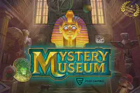 Mystery Museum Казино Игра на гривны 🏆 1win Украина