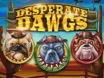 Desperate Dawgs Казино Игра на гривны 🏆 1win Украина